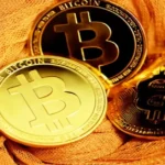 FintechZoom.com Bitcoin Wallet