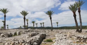 Beit Bart