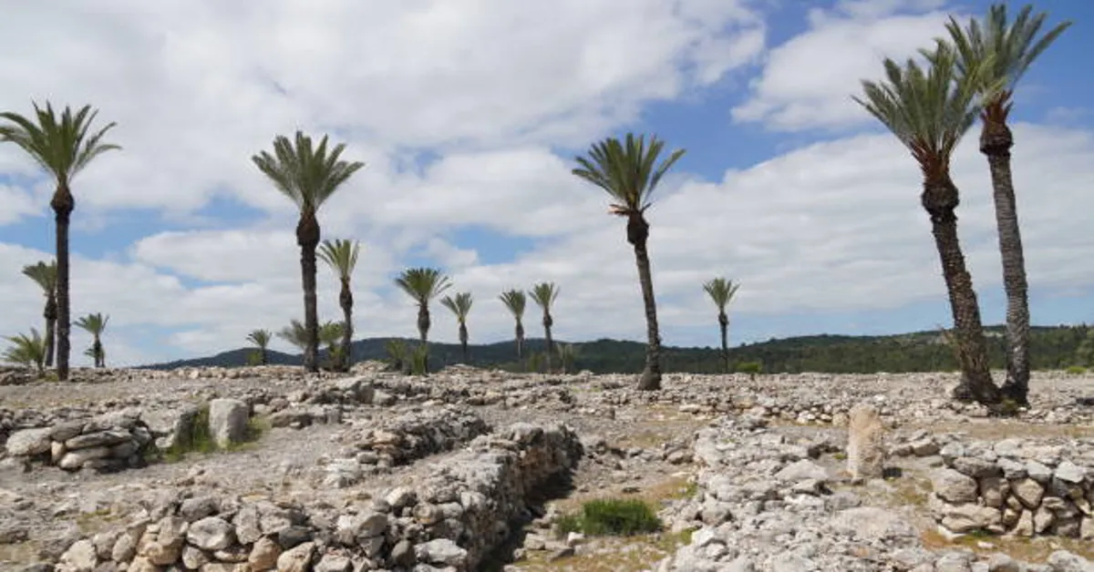 Beit Bart