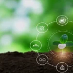 Vital Sourcing