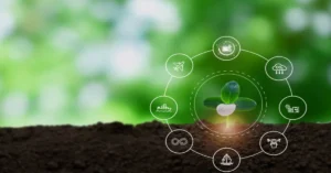 Vital Sourcing