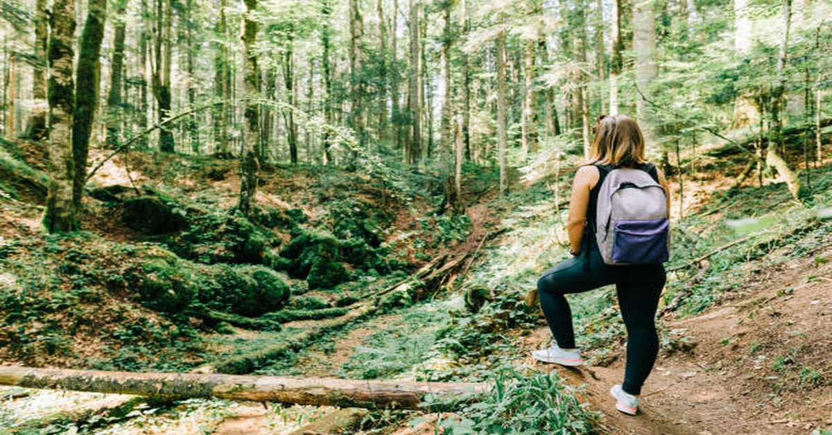 Hikes Near Me
