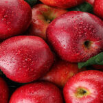 Busch Apple