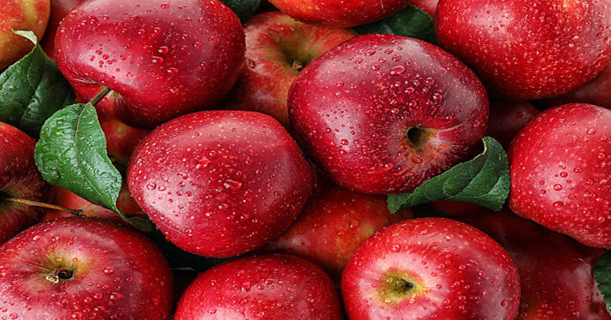 Busch Apple