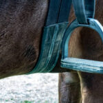 Stirrups