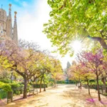 4 Days in Barcelona: A Complete Day-by-Day Guide