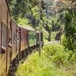 Colombo to Kandy Travel Guide: Train, Bus & Taxi Guide
