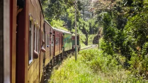 Colombo to Kandy Travel Guide: Train, Bus & Taxi Guide