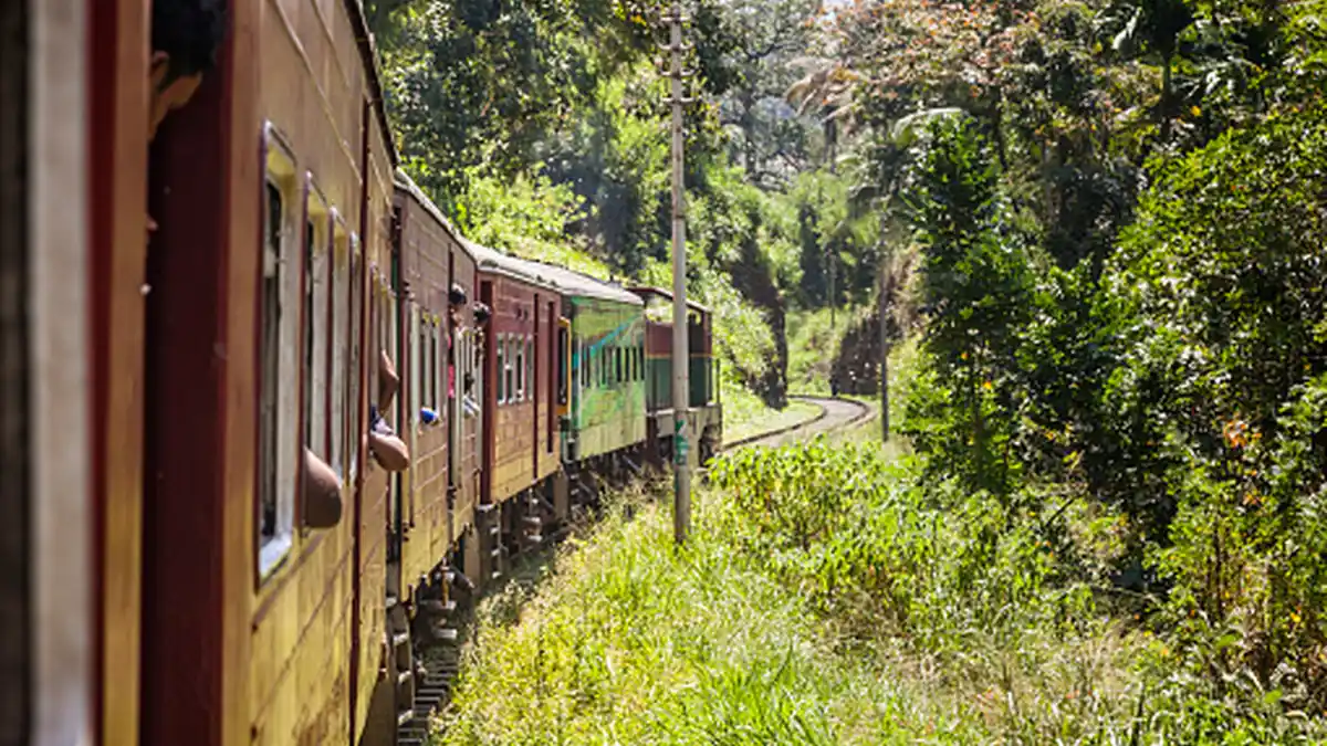 Colombo to Kandy Travel Guide: Train, Bus & Taxi Guide