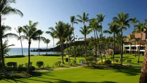 Four Seasons Maui Wailea Review: Rooms, Rates & Tips
