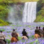 Iceland Itinerary 7 Days: The Complete Ring Road Route