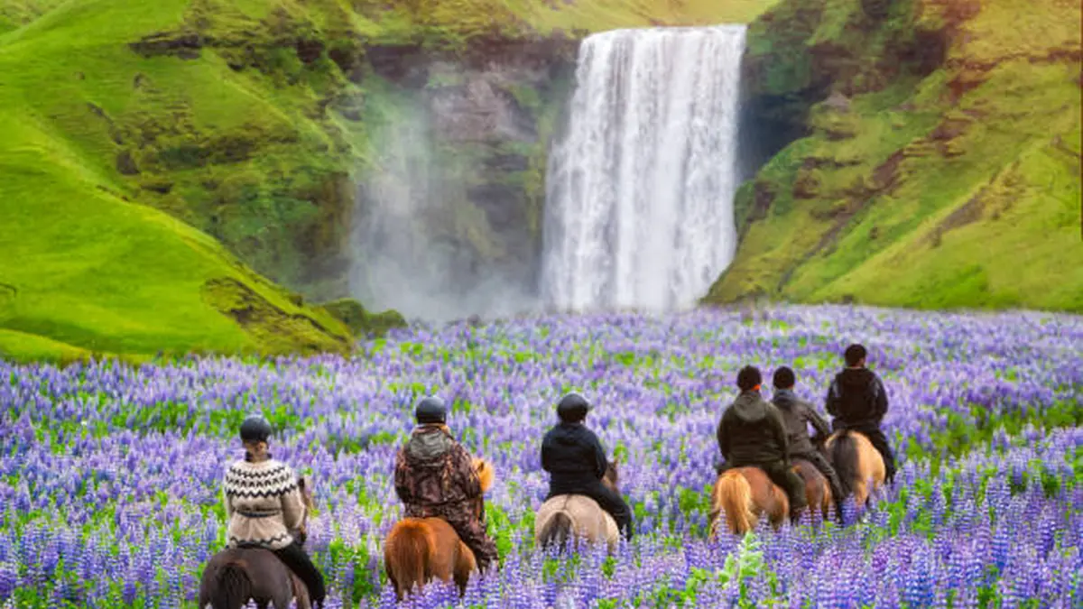 Iceland Itinerary 7 Days: The Complete Ring Road Route