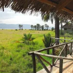 Original Maasai Lodge: Full Guide to Rooms, Prices & Culture