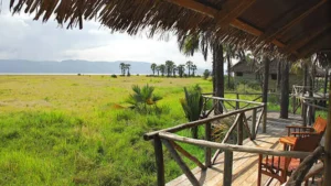 Original Maasai Lodge: Full Guide to Rooms, Prices & Culture