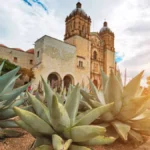 Things to Do in Oaxaca: 21 Local-Approved Experiences