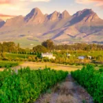 Things to Do in South Africa: A Local-Level Travel Guide