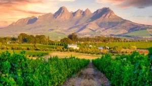Things to Do in South Africa: A Local-Level Travel Guide