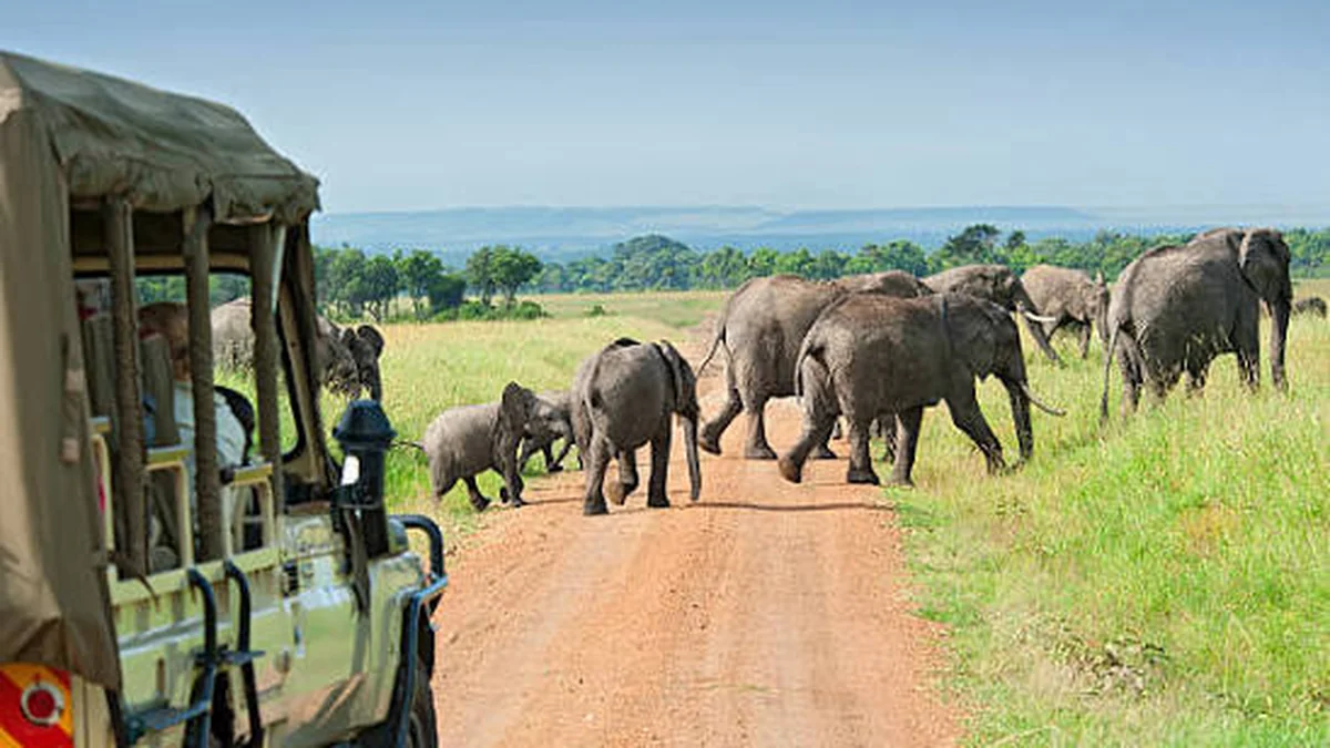 Tanzania Safari and Zanzibar: The Complete Guide to Both