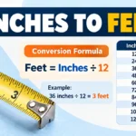 inches to feet: Formula, Chart & Easy Conversion